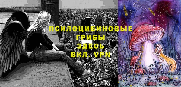 круглые Алзамай